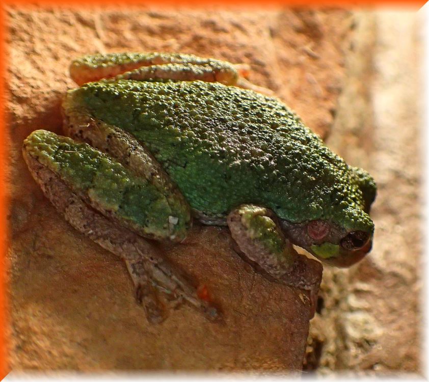 Looking Downward (1) Photo by Thomas Peace c. 2016