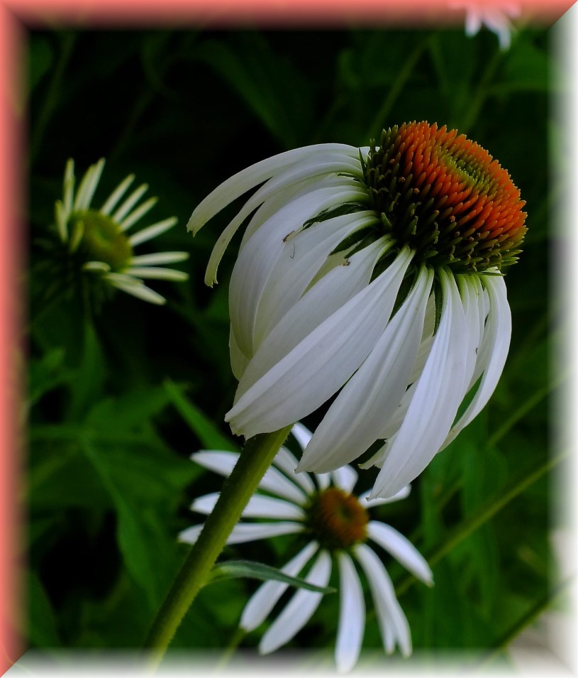 Emergence beyond patterns (1) Photo by Thomas Peace c. 2016