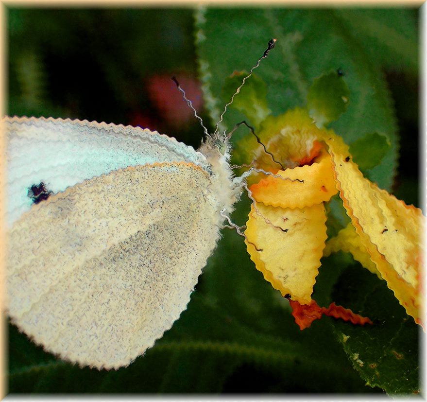 Away from the crowd. (2) Photo by Thomas Peace c. 2016