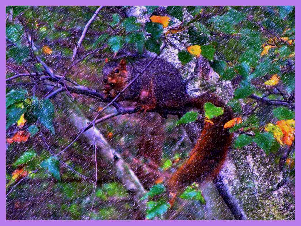 What U R 2.  (2) Photo by Thomas Peace c. 2016