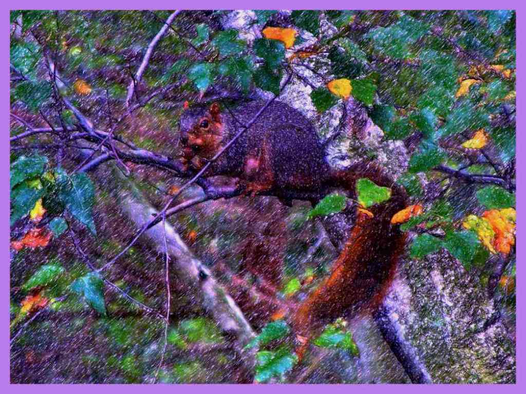 What U R 2.  (2) Photo by Thomas Peace c. 2016