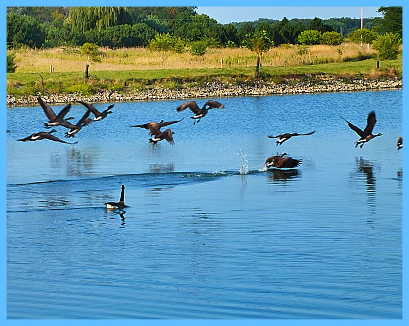 Well, we'll be the flying then (1) Photo by Thomas Peace c. 2016