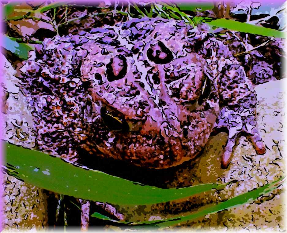 Stillness (2) Photo by Thomas Peace c. 2017