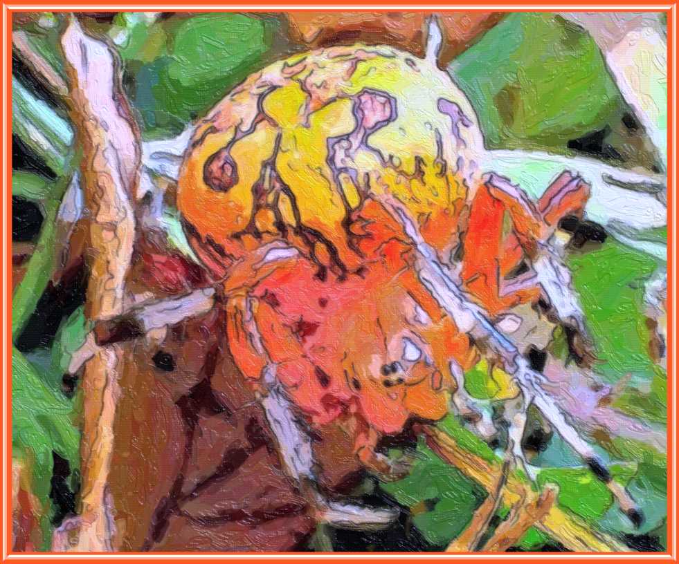 The Spider Watched Wordlessly (2) Photo by Thomas Peace c. 2017