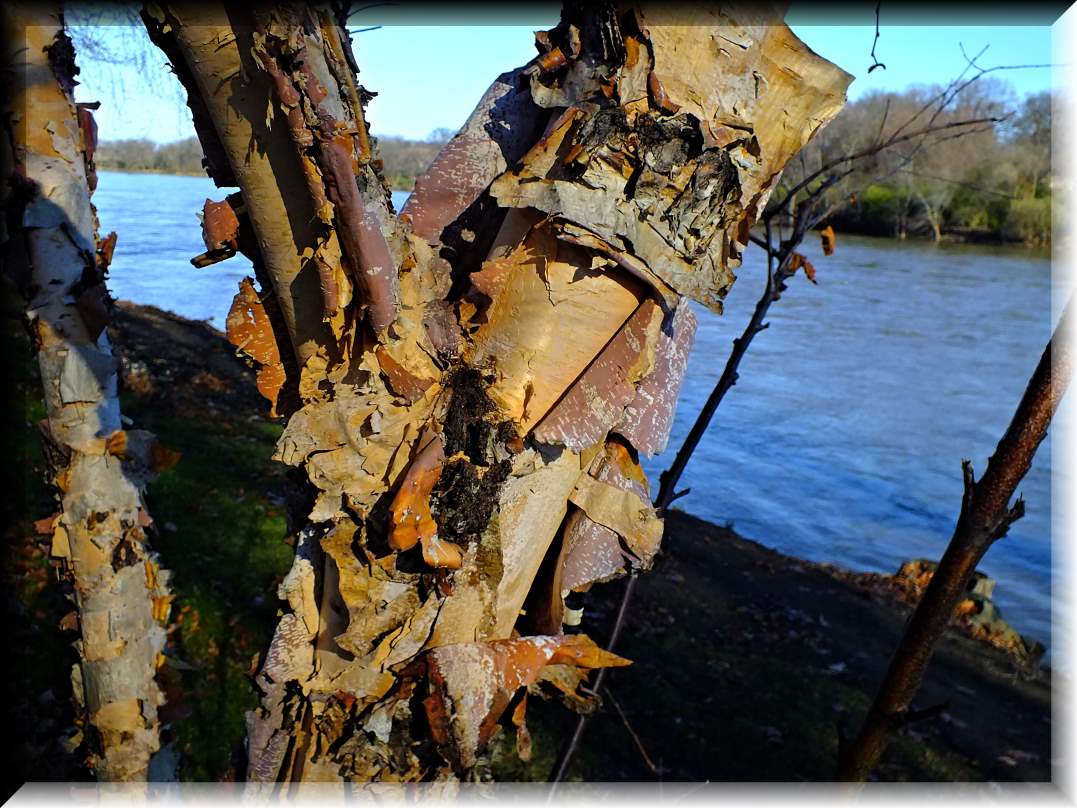 Somehow appealing (1) Photo by Thomas Peace c. 2017