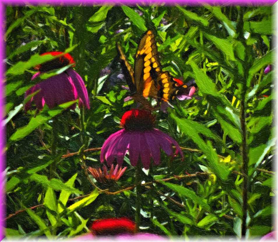 Countless Upon an Always (2) Photo by Thomas Peace c. 2017