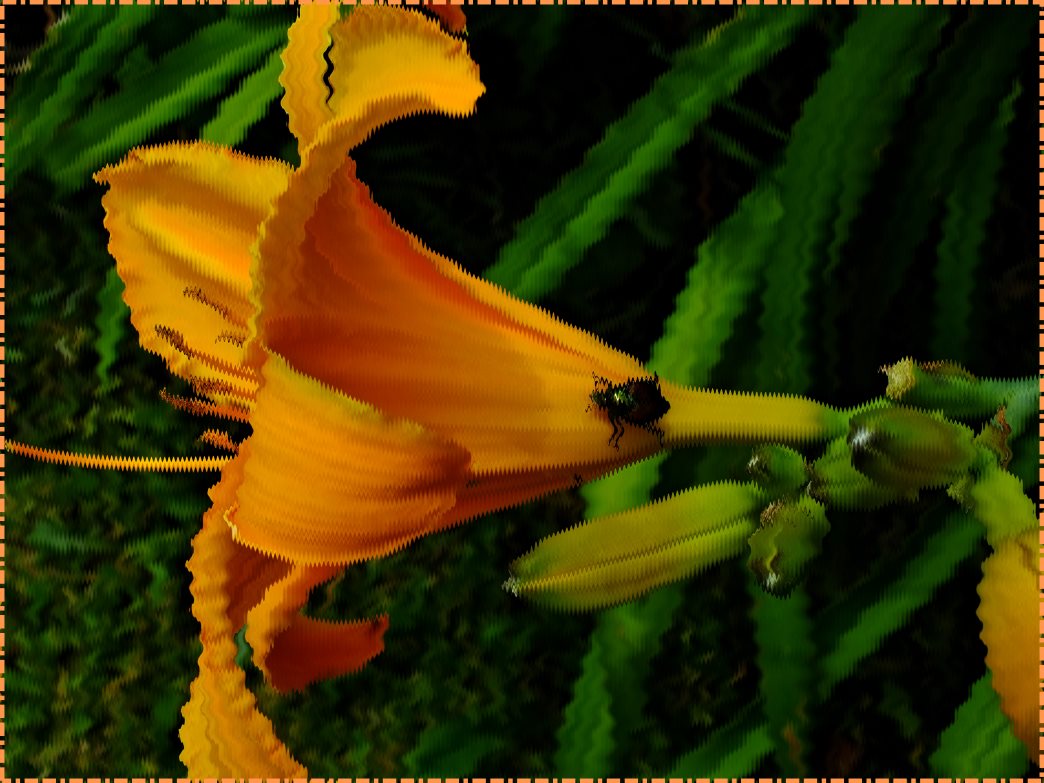 Studying the Universe (2) Photo by Thomas Peace c. 2017