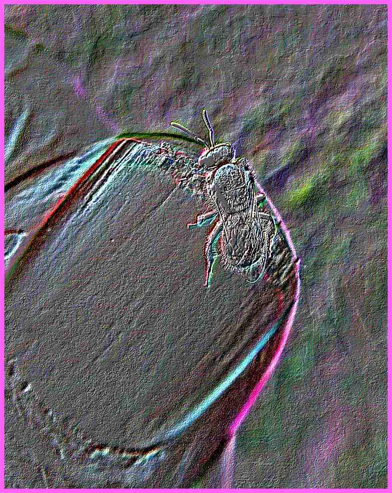 Transcending separation (2) Photo by Thomas Peace c. 2017