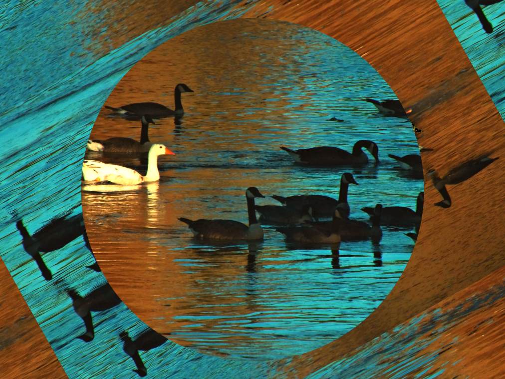 It may be wise to be different. (2) Photo by Thomas Peace c. 2017