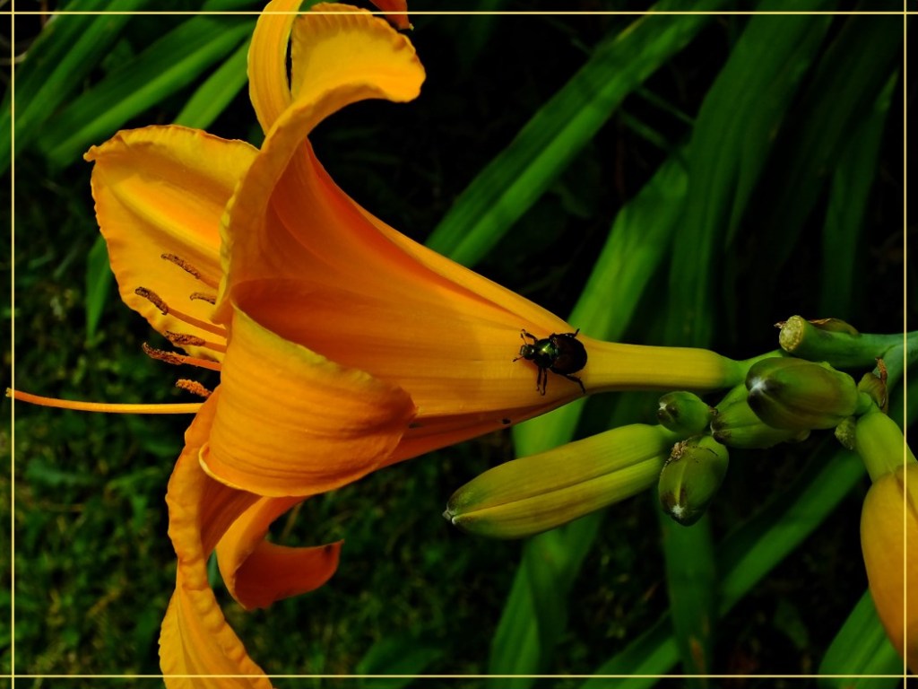 Studying the Universe (1) Photo by Thomas Peace c. 2017