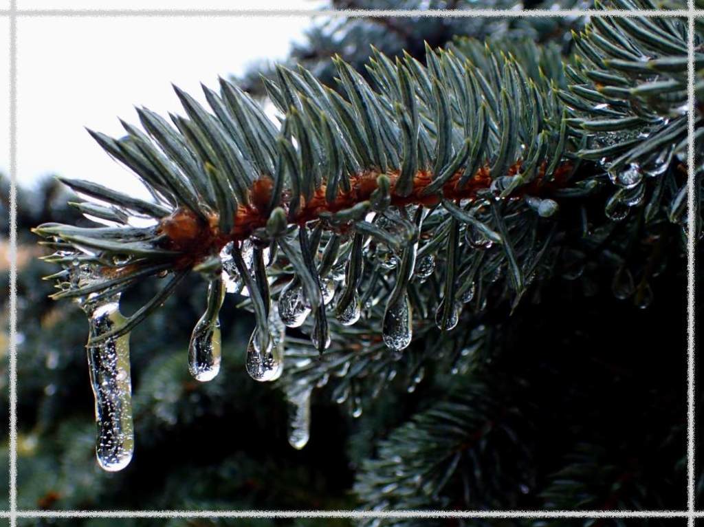 Frozen in Time (1) Photo by Thomas Peace c. 2017 