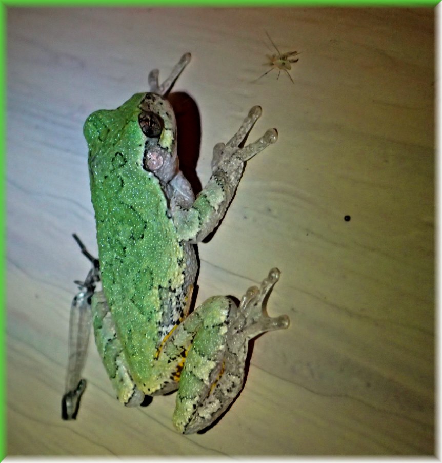 Sticking to the facts (1) Photo by Thomas Peace c. 2017