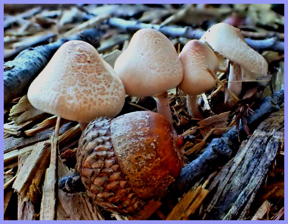 Communication (1) Photo by Thomas Peace c. 2017 