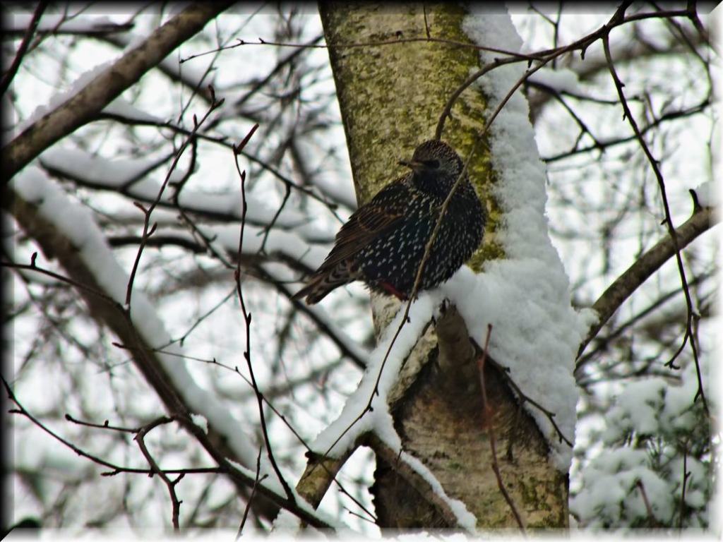 Standing with you. (1) Photo by Thomas Peace c. 2017