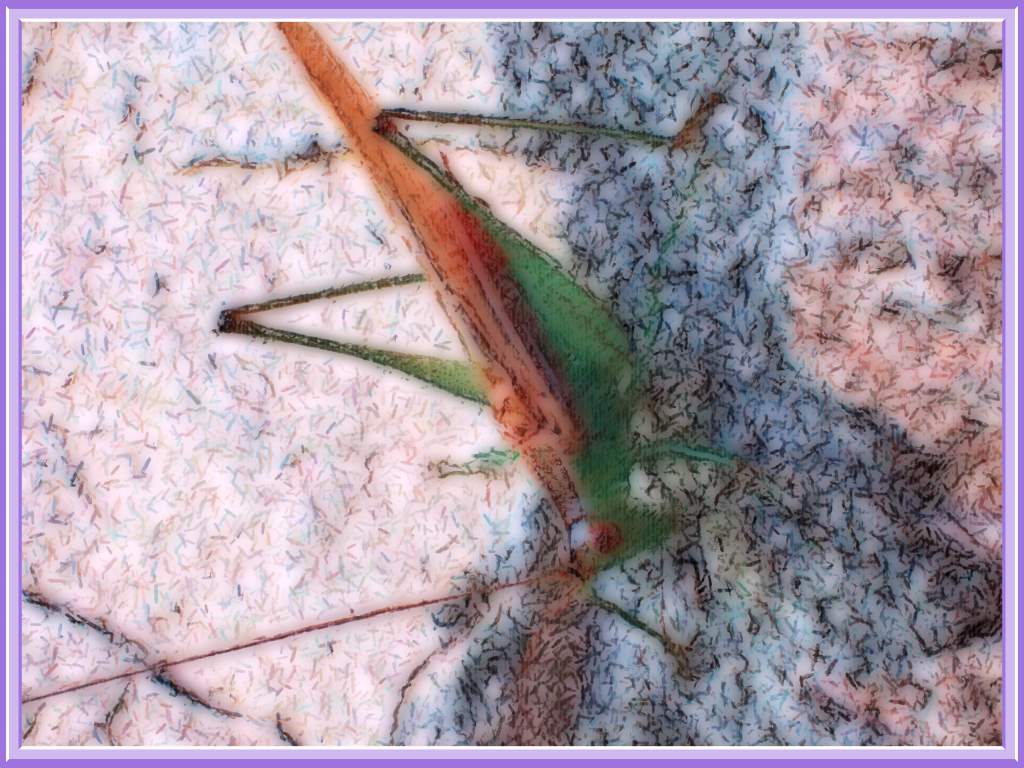 Vertical Climbing (2) Photo by Thomas Peace c. 2017