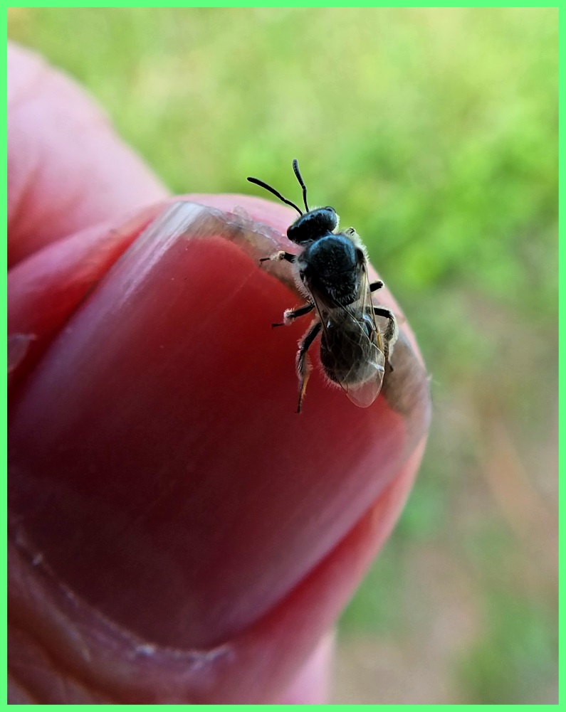 Transcending separation (1) Photo by Thomas Peace c. 2017