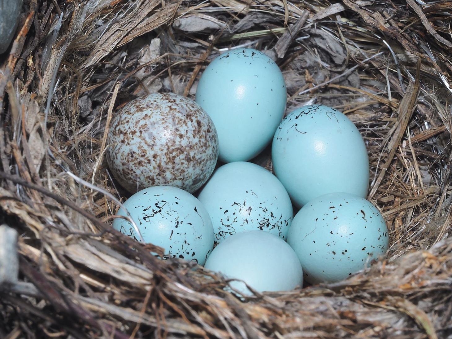 Life on its Journey ... Photo by Thomas Peace c. 2021