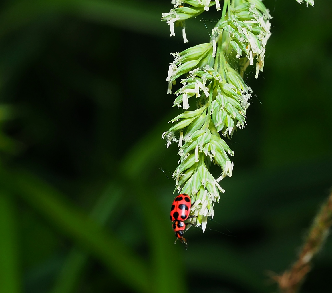 So the universe really does have an edge! Photo by Thomas Peace c. 2021